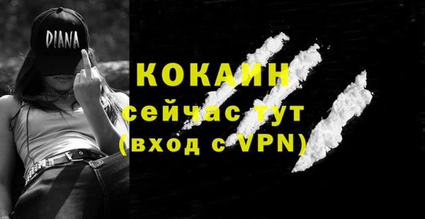 не бодяженный Новодвинск
