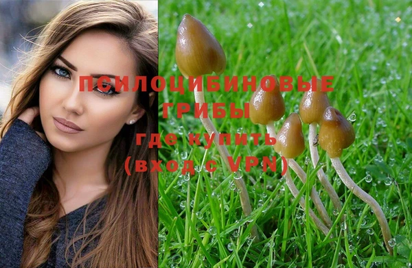 spice Нефтегорск