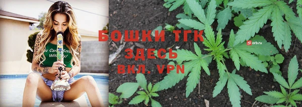 apvp Новозыбков